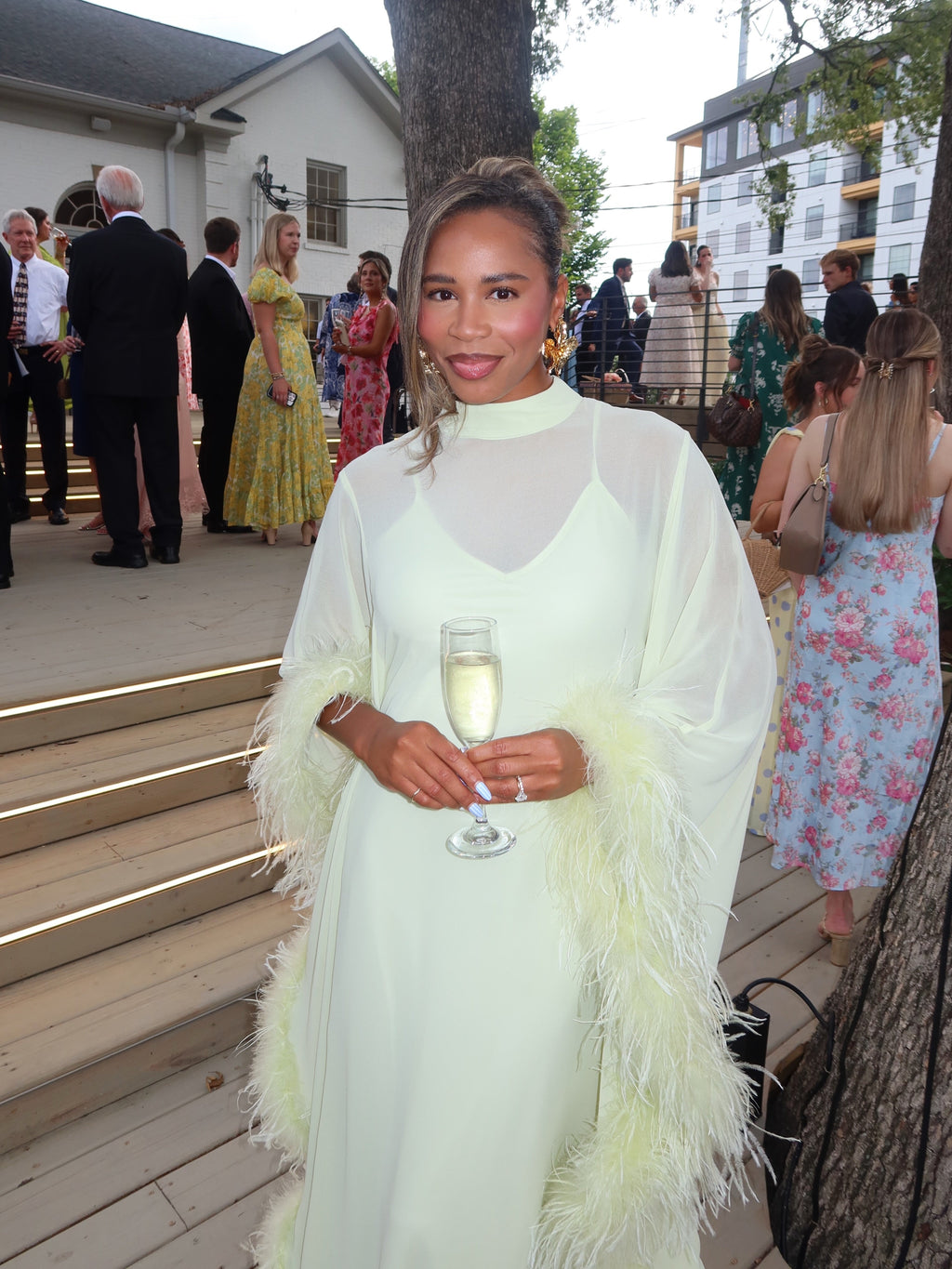 The Feather Chiffon Gown