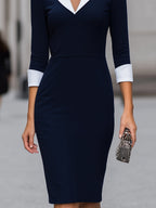 Navy & White Contrast Collared Sheath Dress