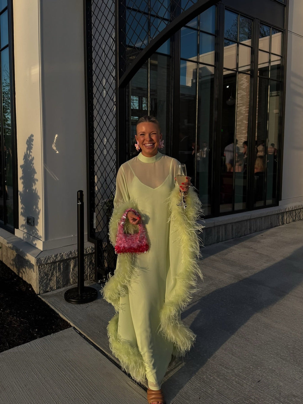 The Feather Chiffon Gown